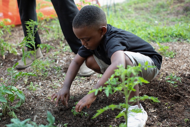 Criança plantando